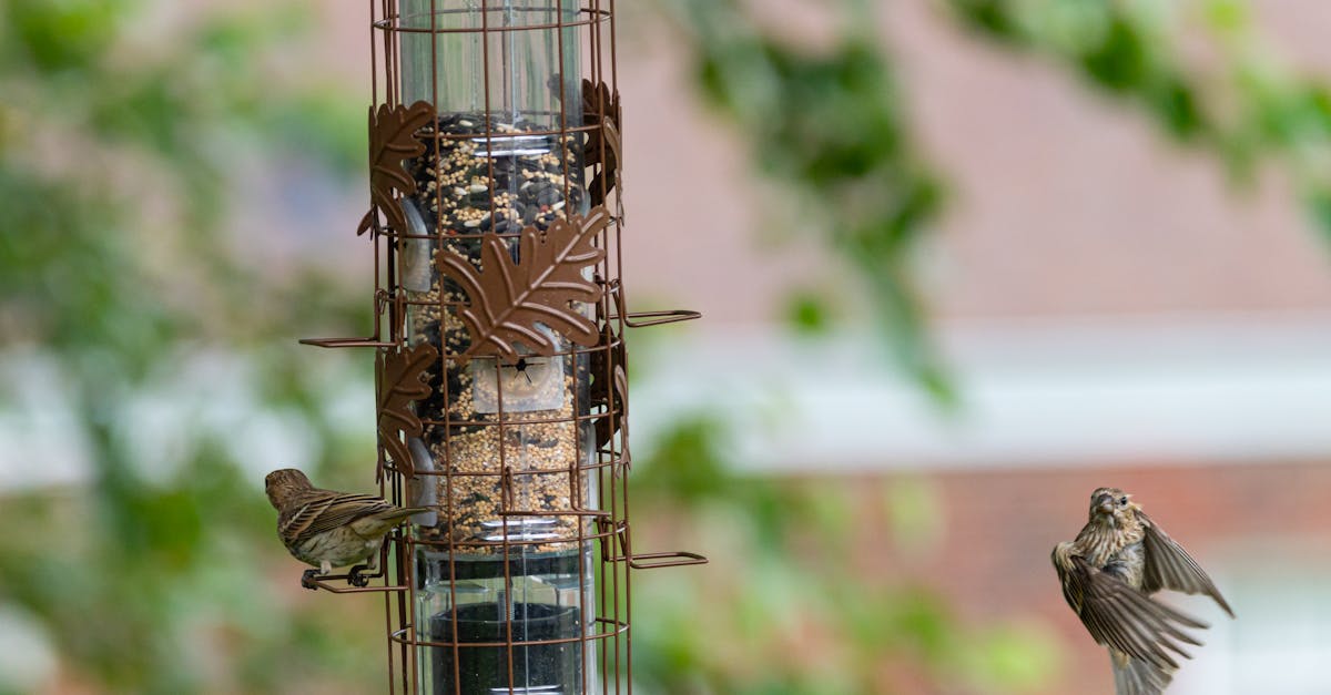 découvrez la décompression neuro-vertébrale, une méthode innovante pour soulager les douleurs dorsales, améliorer la mobilité et promouvoir le bien-être spinal. idéale pour ceux souffrant de troubles vertébraux, cette technique douce favorise la guérison naturelle et rétablit l'équilibre corporel.