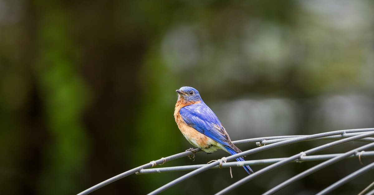 découvrez les bienfaits de la décompression neuro-vertébrale, une technique innovante pour soulager les douleurs dorsales et cervicales. améliorez votre bien-être et retrouvez une mobilité optimale grâce à des traitements ciblés et efficaces.