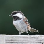 découvrez les bienfaits de la décompression neuro-vertébrale pour soulager les douleurs dorsales et cervicales. traitement non invasif efficace contre les hernies discales, sciatiques et autres pathologies de la colonne vertébrale.