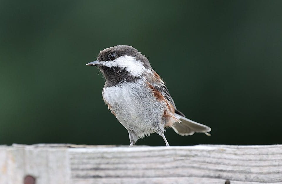 découvrez les bienfaits de la décompression neuro-vertébrale pour soulager les douleurs dorsales et cervicales. traitement non invasif efficace contre les hernies discales, sciatiques et autres pathologies de la colonne vertébrale.