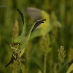 Décompression neurovertébrale : une thérapie complémentaire pour optimiser la flexibilité chez les patients actifs après une intervention chirurgicale complexe 4 découvrez la décompression neuro-vertébrale, une technique non chirurgicale visant à soulager les douleurs dorsales et cervicales en réduisant la pression exercée sur les nerfs de la colonne vertébrale. idéale pour traiter hernies discales, sciatiques et douleurs lombaires.