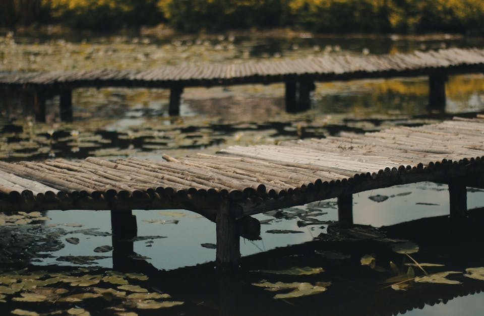 découvrez la décompression neurovertébrale, une technique non chirurgicale visant à soulager efficacement les douleurs du dos et des nerfs causées par des hernies discales ou des compressions vertébrales. informations, avantages et conseils d'experts.