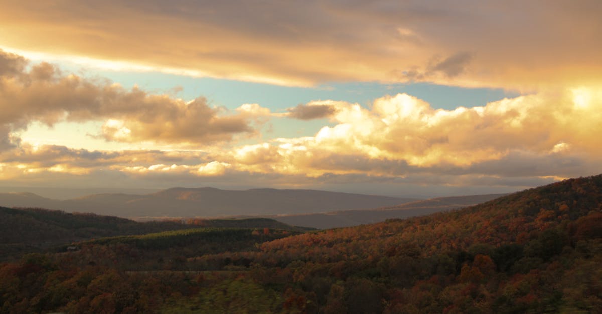 découvrez la décompression neurovertébrale, une technique innovante pour soulager les douleurs dorsales et discales sans chirurgie. informez-vous sur ses bienfaits, indications et déroulement.
