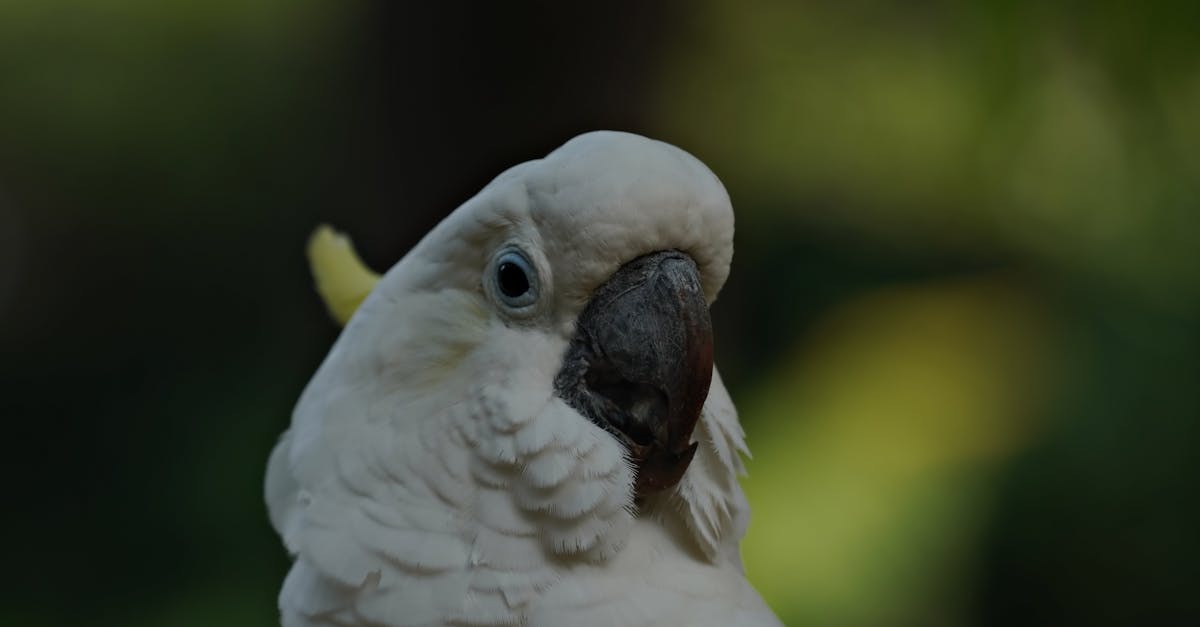 découvrez les avantages à long terme qui vous permettront d’améliorer votre qualité de vie, de prendre de meilleures décisions et d'assurer un avenir durable. apprenez comment investir dans le futur dès aujourd'hui.