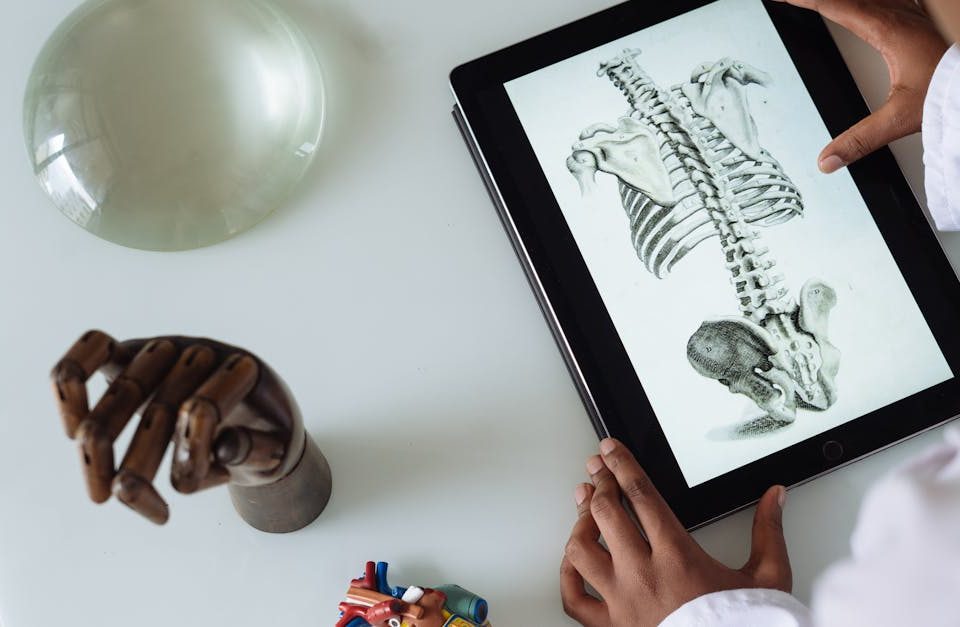 découvrez la neuro-spinal décompression : une méthode innovante et non chirurgicale pour soulager les douleurs de dos et les problèmes de colonne vertébrale. améliorez votre qualité de vie grâce à cette thérapie efficace.