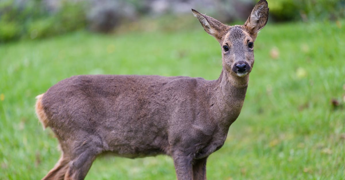 découvrez la décompression neuro-vertébrale : une technique non invasive visant à soulager les douleurs lombaires et cervicales, améliorer la mobilité et traiter certaines affections de la colonne vertébrale. informations, avantages et indications.