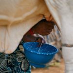 découvrez comment les ajustements nutritionnels peuvent améliorer votre bien-être, optimiser vos performances et contribuer à une meilleure santé au quotidien grâce à des conseils pratiques et adaptés à vos besoins.