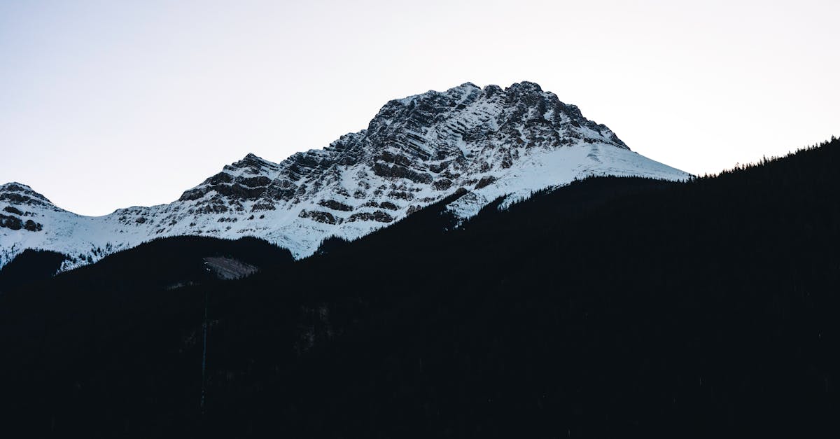 découvrez les avantages de la décompression spinale, une thérapie non chirurgicale qui soulage efficacement les douleurs dorsales et cervicales liées aux hernies discales, sciatiques et autres troubles de la colonne vertébrale.